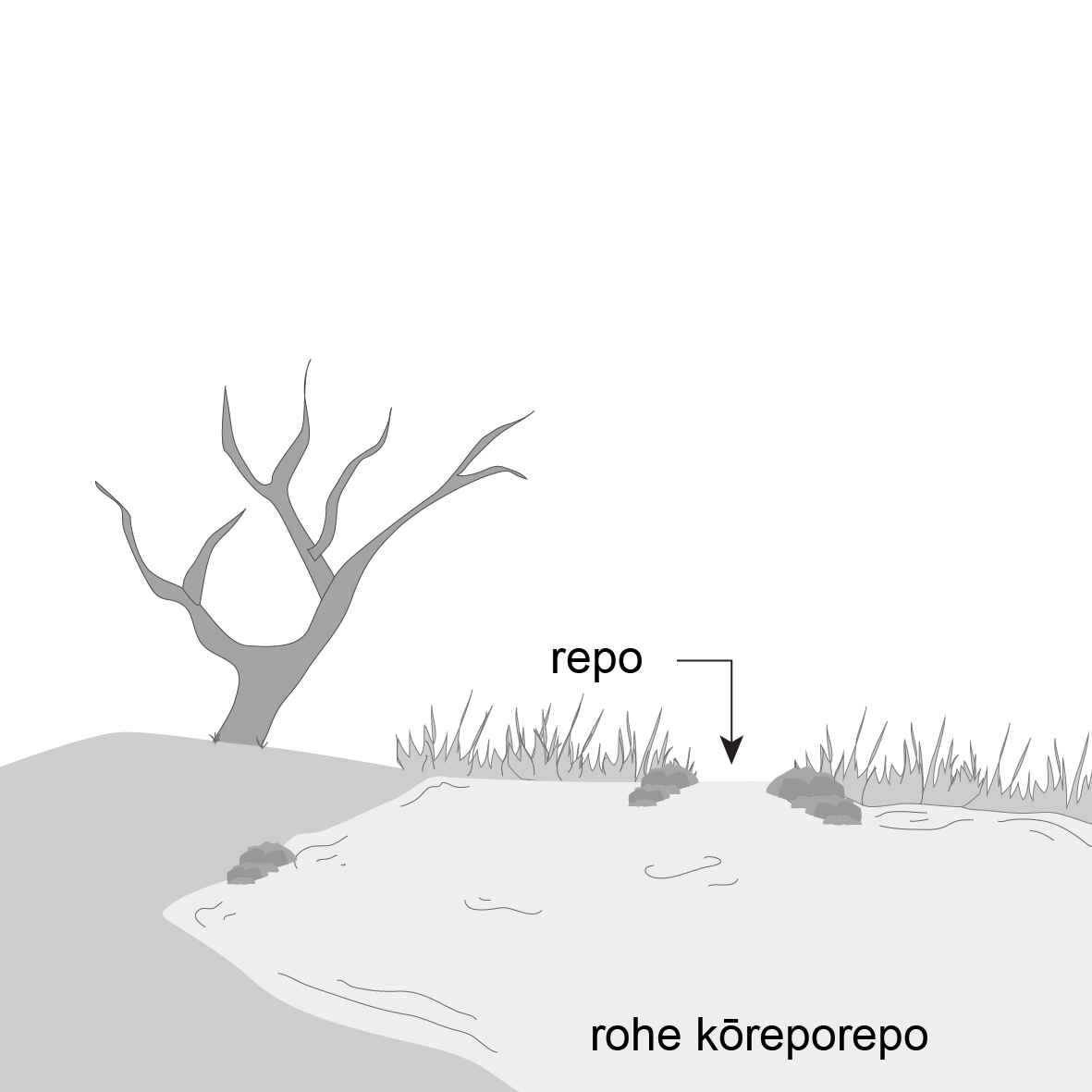 Drawing of a pond surrounded by rocks and grass.