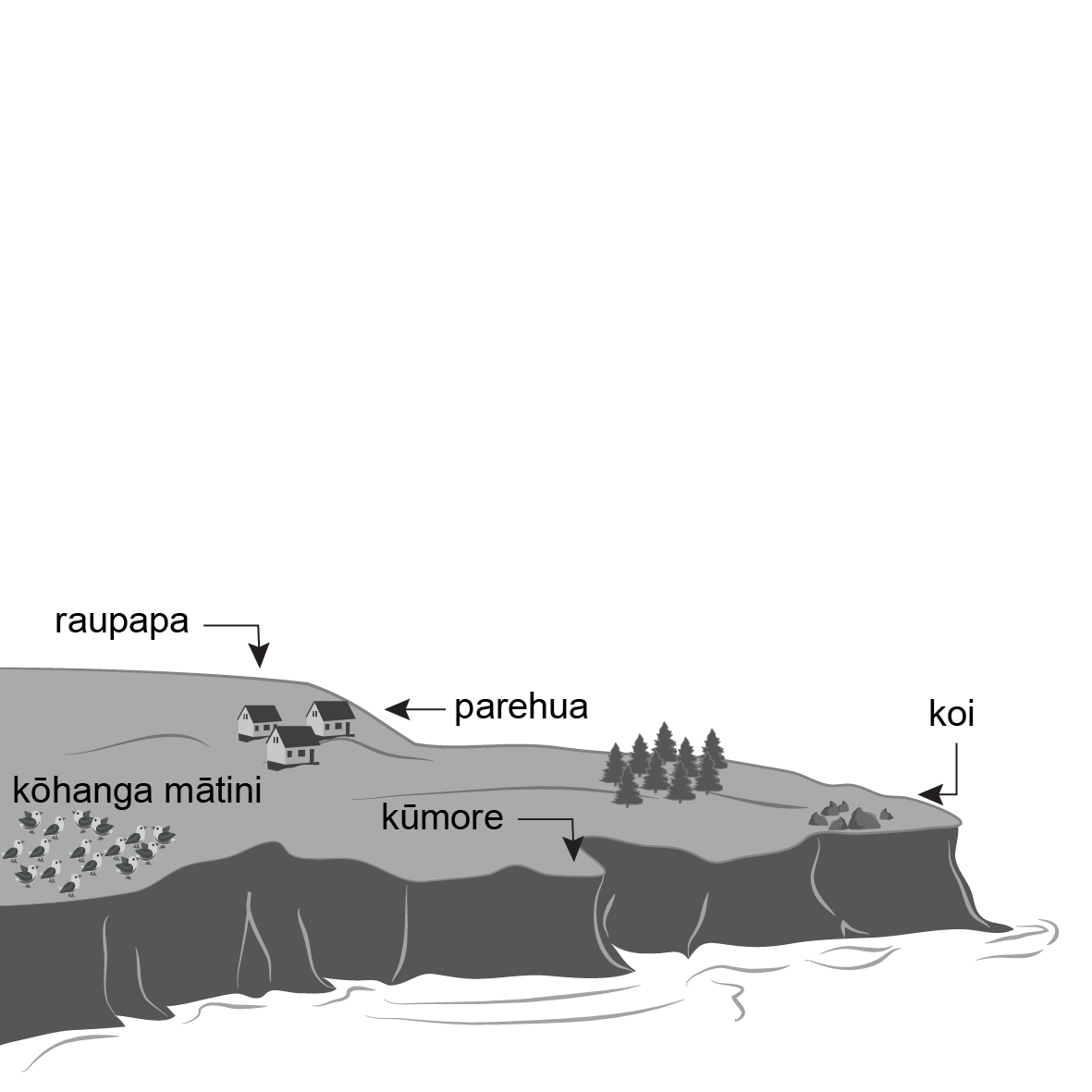 Drawing of a high-sided cape with houses and a flock of birds.