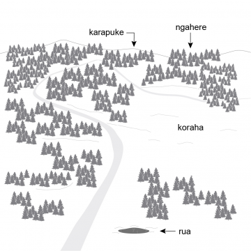 Drawing of a forest with a stream winding through it and a hole in the ground in the foreground. 