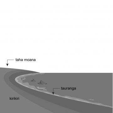 Drawing of a coastline with small rocks and a gently rising shoreline. 